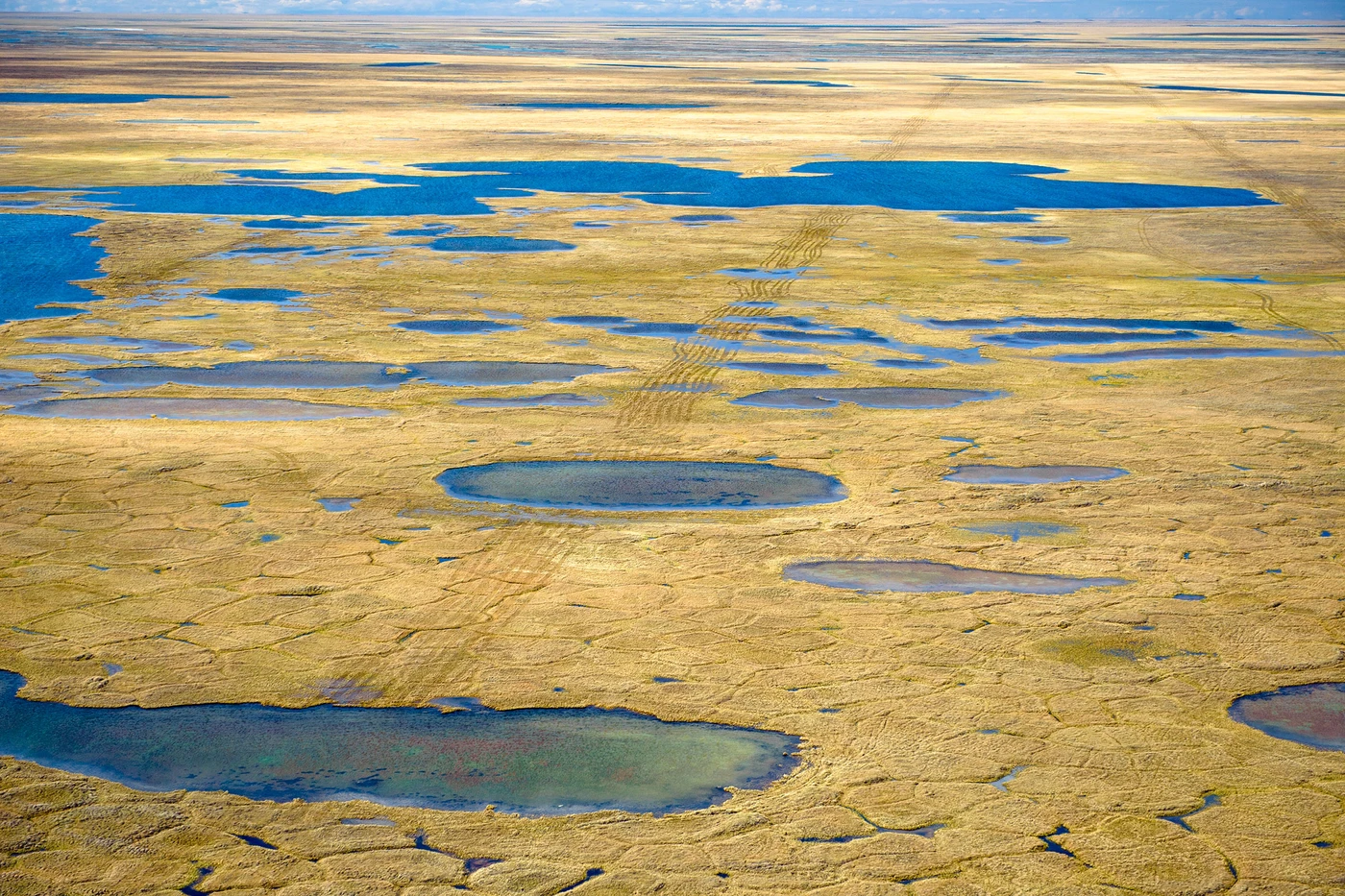Trails carved into tundra landscape