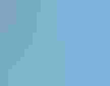 Small olive grey brrd perched