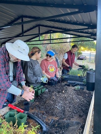 A group of volunteers repot plants under an open roof.