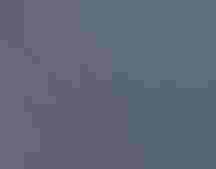 A group of volunteers repot plants under an open roof.