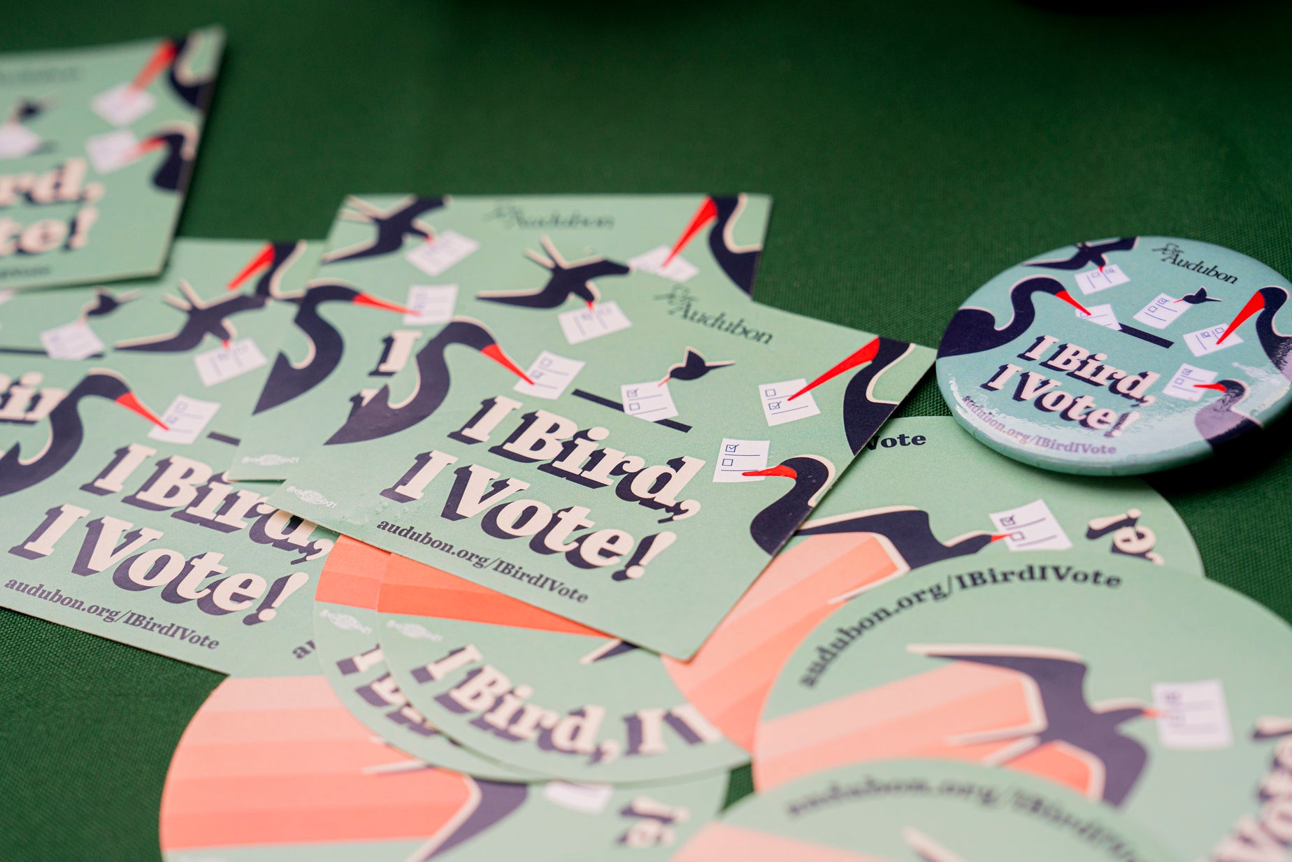 Promotional materials from Audubon's I Bird, I Vote campaign on a table. 