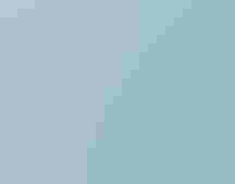 a quilt depicting leaves, human faces, and a bird skeleton