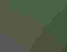 Trouble, Bald Eagle