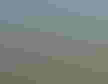Aerial view of a wetland