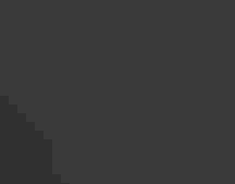 A small songbird in a forest