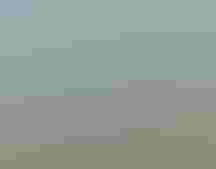 A young woman hiking through a field with a lizard in her hand