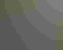 People stand on a boardwalk nature trail, looking over the railing at nature.