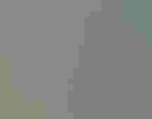 A three-panel art piece featuring birds, flowers, and leaves hung on a wall.