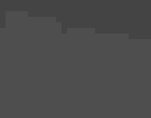 Aerial view of treetops with birds nesting.