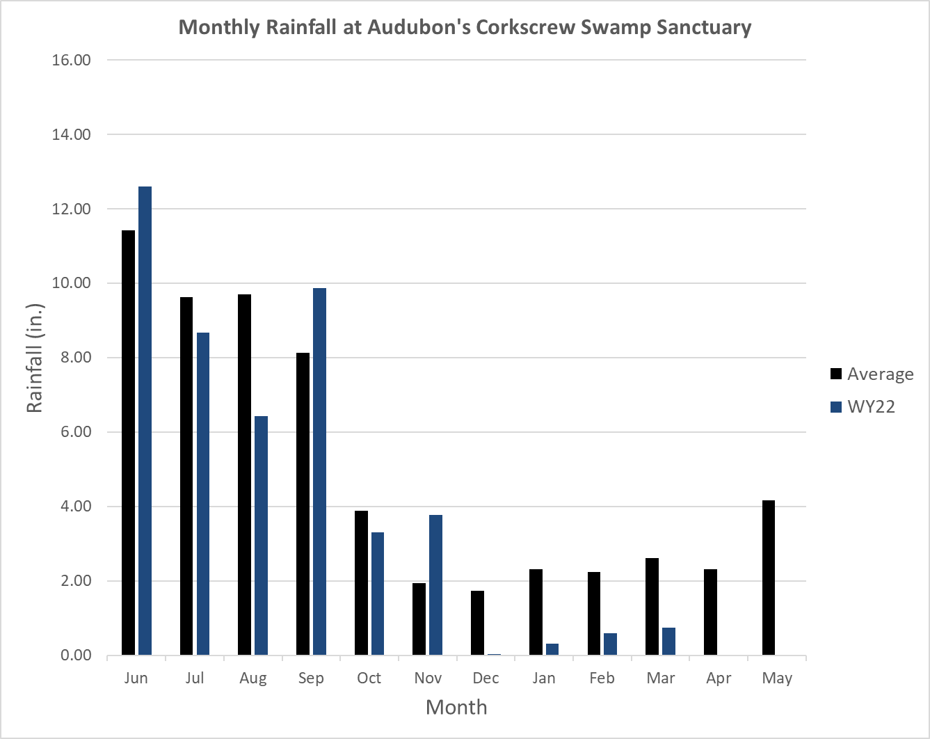 rainfall chart