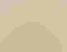 graphic of a black-bellied whistling duck in a circle