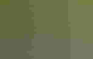 Group of teenagers pose with staff in front of a sign for the bird-friendly maple program