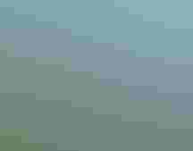 Water in the foreground with grasses in the background.