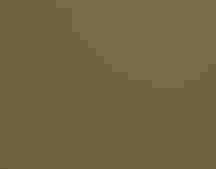 sparrow in the grass