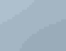 Great Egret. Photo: Mary Lundberg/Audubon Photography Awards.