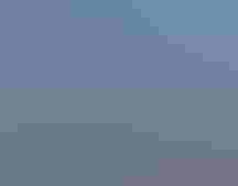 Wood Stork. Photo: Lisa Squicciarini/勛圖窪蹋 Photography Awards.