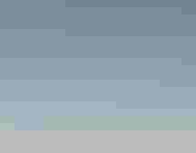 Least Tern. Photo: JulieAnn Schultz/³Ô¹ÏºÚÁÏ Photography Awards.