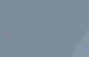 Bald Eagle in flight.