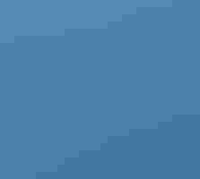 A bird with a fish