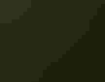 A Great Egret is in nest with fuzzy chicks.