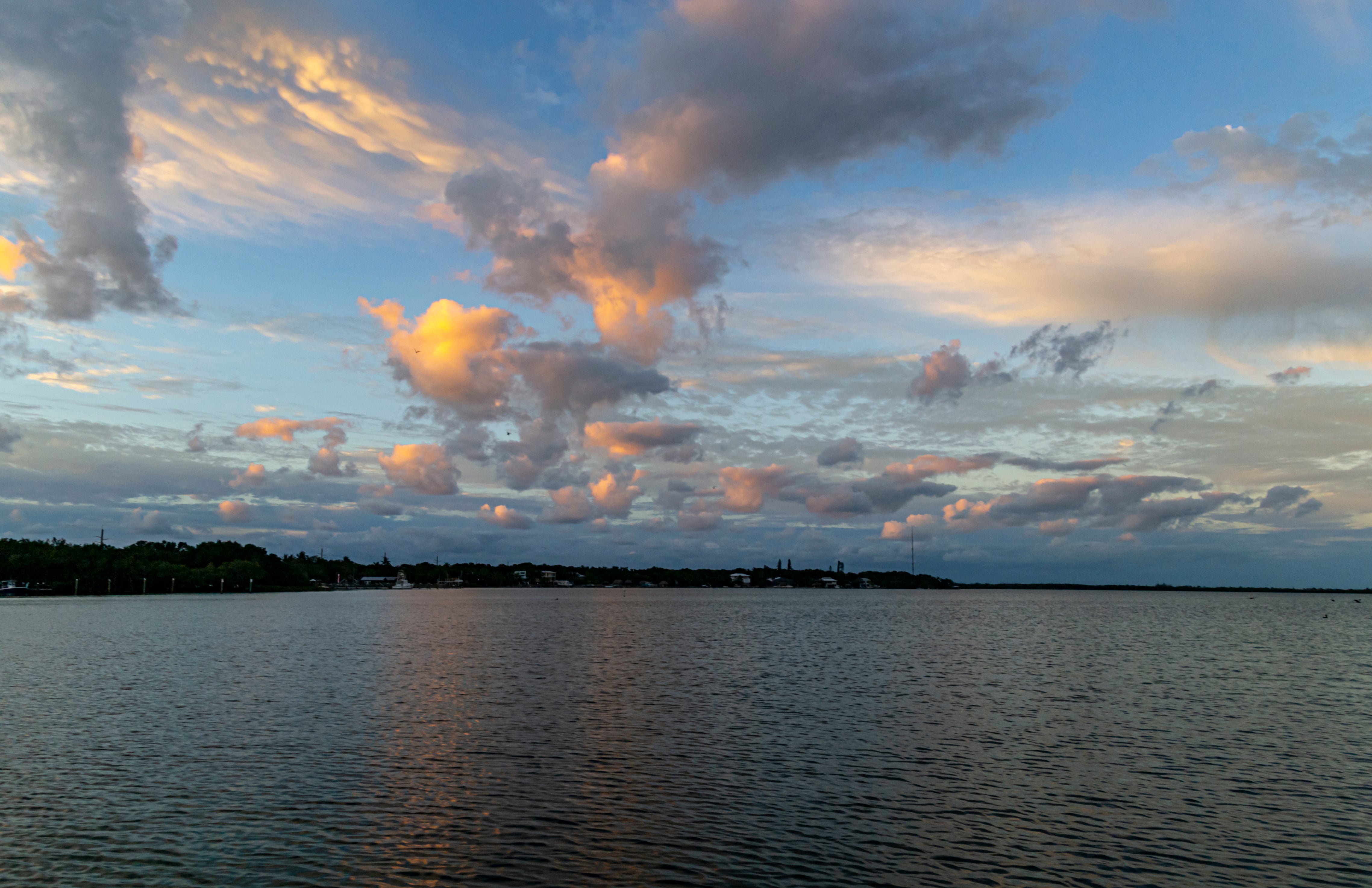 Sunrise over water and mangrove trees.
