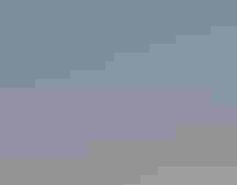 A Roseate Spoonbill with a band on its leg.