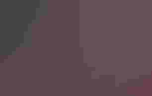 A screenshot of a televised county commission meeting where a woman is speaking.