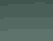 An adult Black Skimmer and two downy chicks sit on a sandy beach.