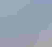 A beach with roped off area