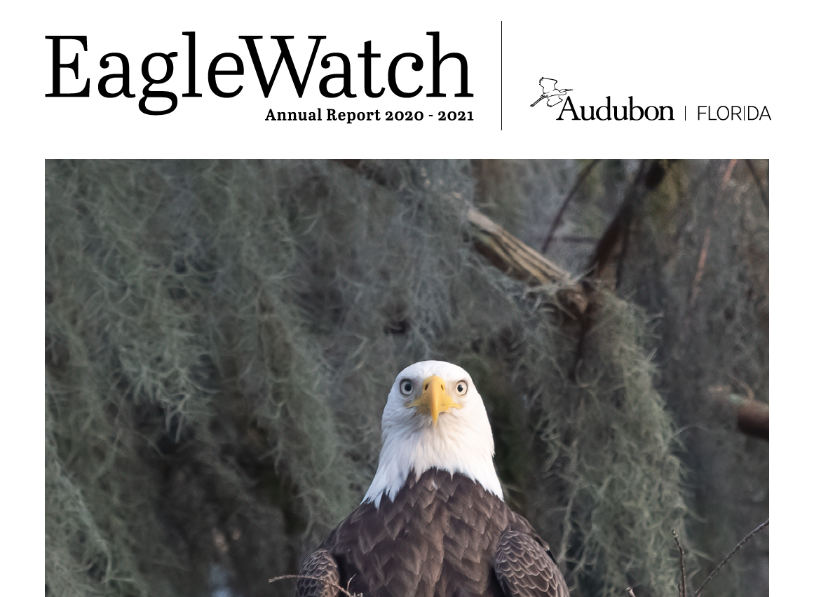 Report cover for EagleWatch
