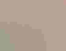 An artistic rendering of a Roseate Spoonbill in front of a landscape, with a bison in the background.