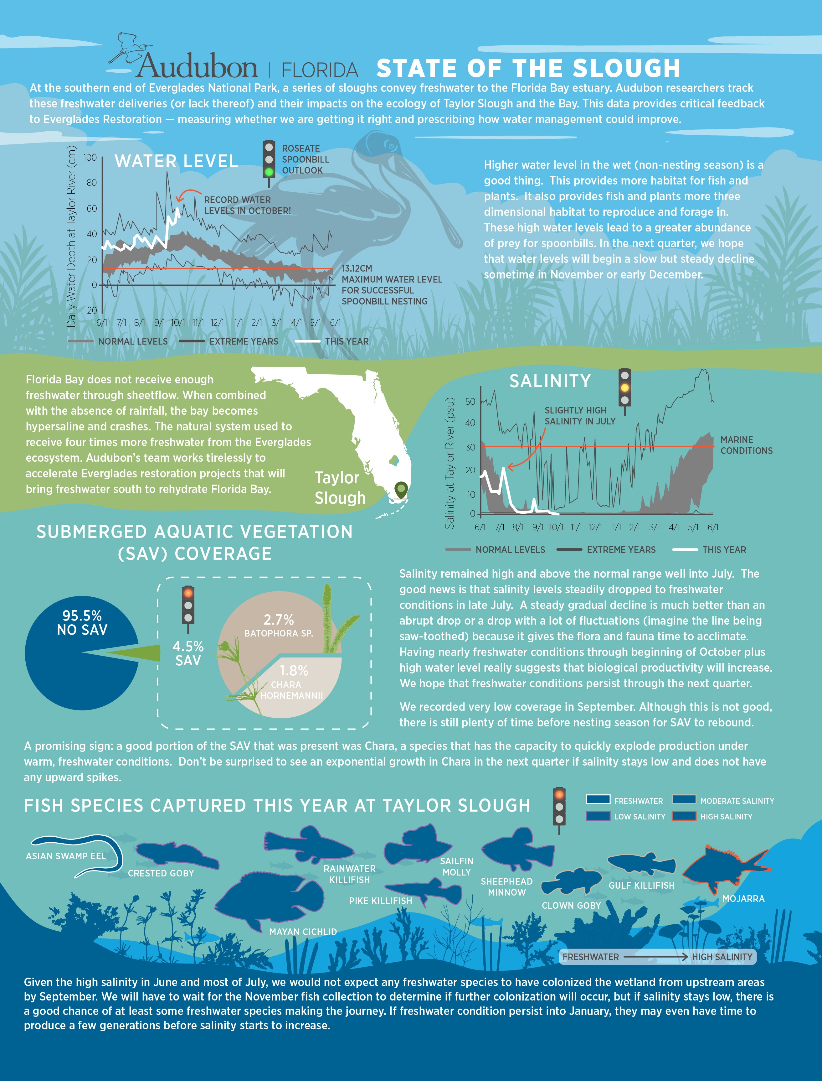 State of the Slough infographic.