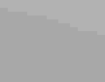 A flock of American Flamingos stands in shallow water. Some are bright pink but some are gray.