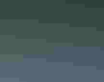 A flock of Roseate Spoonbills on a sandbar. Trees in the background.