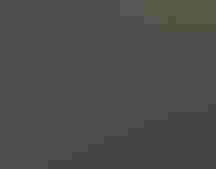 aerial view of white birds on nests