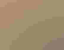 group of people holding awards smiling at the camera