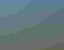 A game camera attached to a pole, with marsh grass in the background.