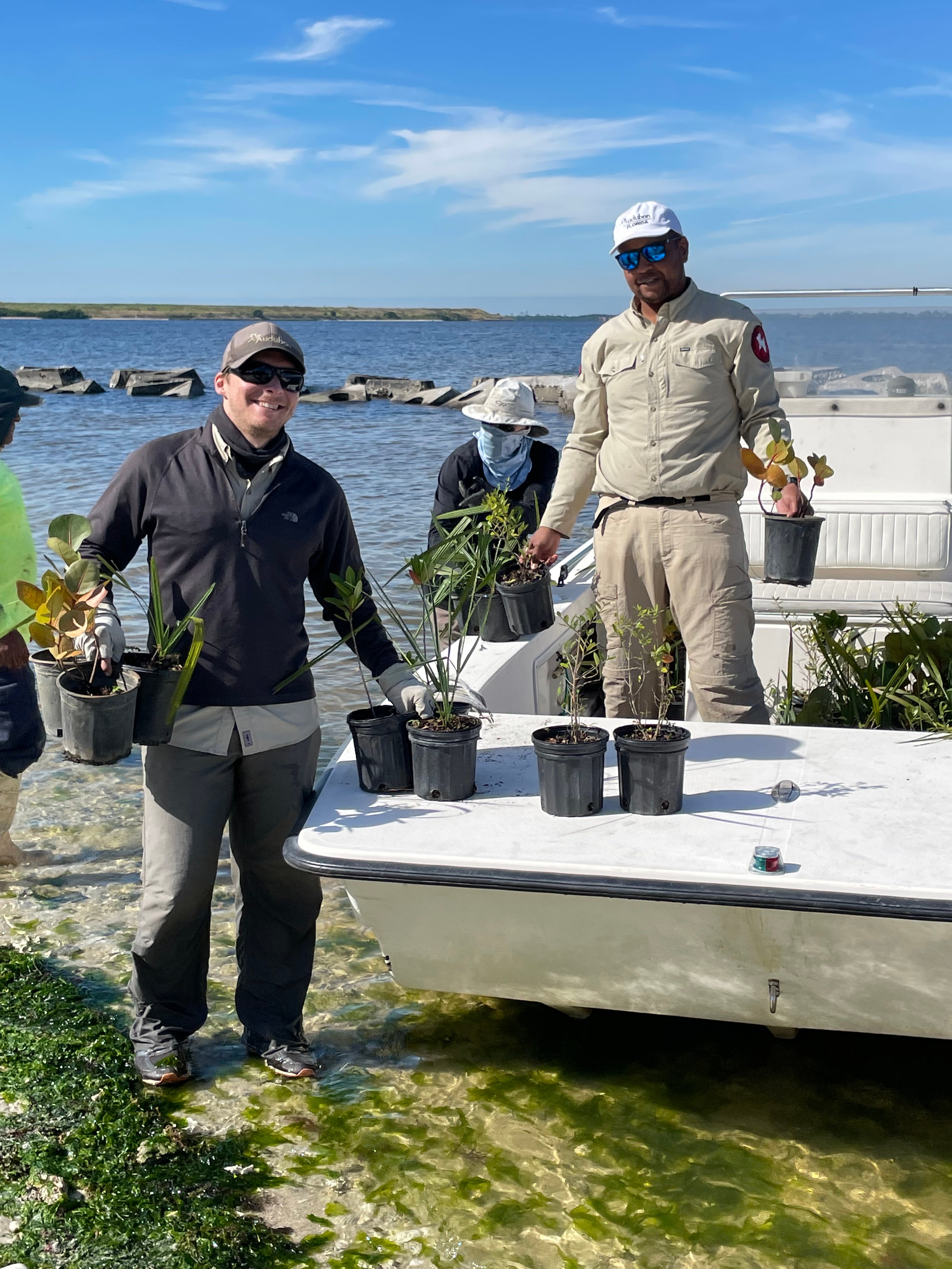 Alafia volunteer planting work days. In total, volunteers and staff placed 1,200 native plants to improve habitat for birds. Photo: Sandy Townsend 