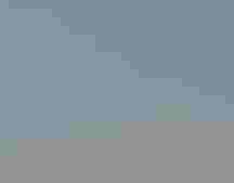 A Red Knot shorebird with a band on its leg, standing in the waves