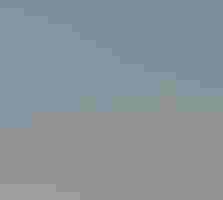 A Red Knot shorebird with a band on its leg, standing in the waves