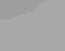 Snowy Plover on the sand.