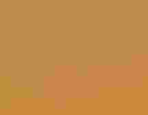 silhouette of a caracara against an orange sky