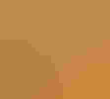 silhouette of a caracara against an orange sky
