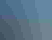 Three bird steward volunteers stand on the beach next to an officer sitting in a beach vehicle.