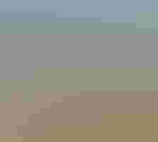 A neighborhood with a stark boundary line between the houses and the Everglades beyond.