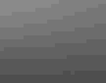 Two owls with their bills touching.