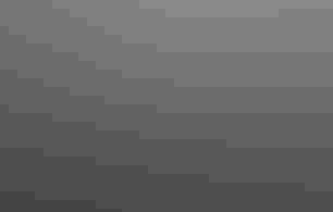 Two owls with their bills touching.