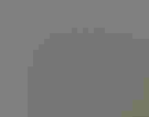 Three people smiling at the camera - one is holding an owl.