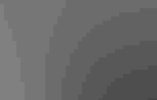 Three people smiling at the camera - one is holding an owl.