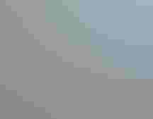 Bags of oysters placed along a shoreline